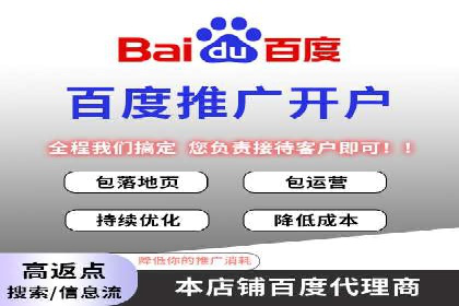 某电商平台的SEM投放全流程案例